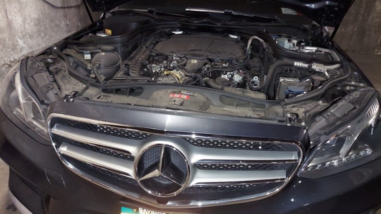 20231118_103915 (Medium)