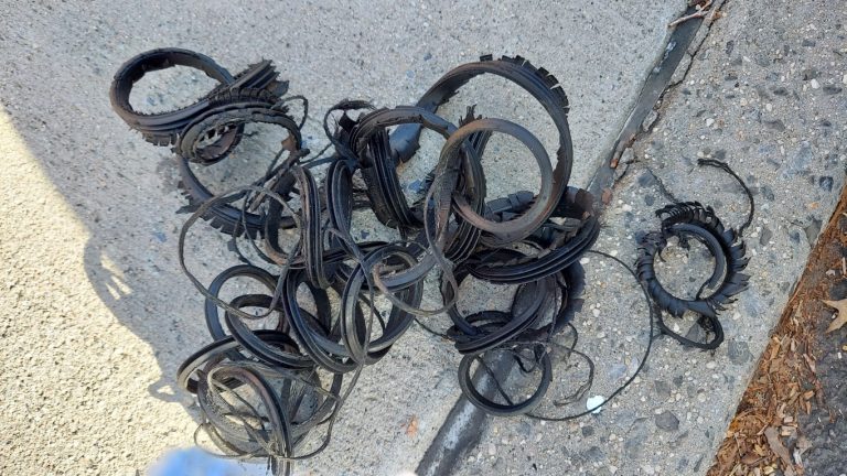 20240111_111024 (Medium)