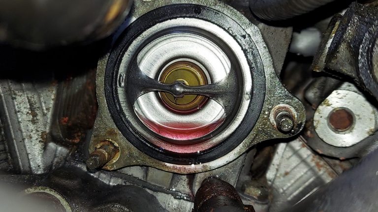 20240127_104824 (Medium)