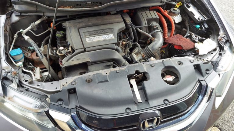 20240211_142208 (Medium)